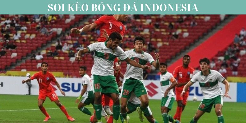 Tiết Lộ Bí Kíp Soi Kèo Bóng Đá Indonesia Dành Cho Người Mới