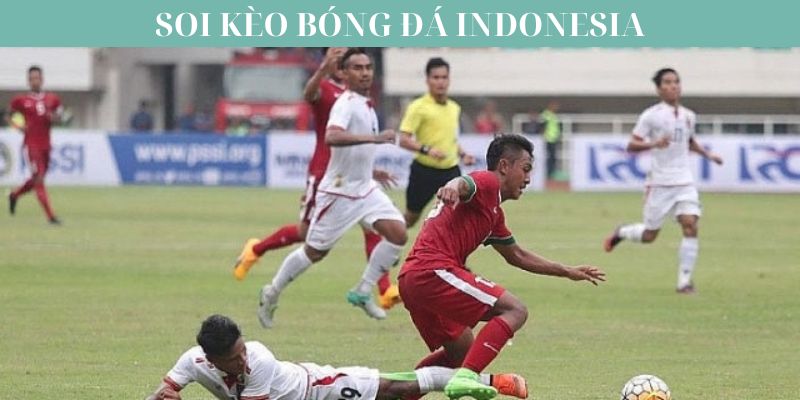 Một số loại kèo phổ biến khi soi kèo bóng indonesia